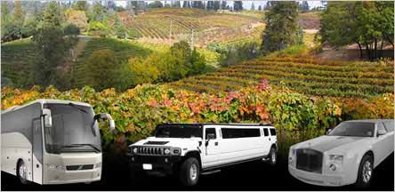 Sacramento El Dorado County Wine Tours Limo Service